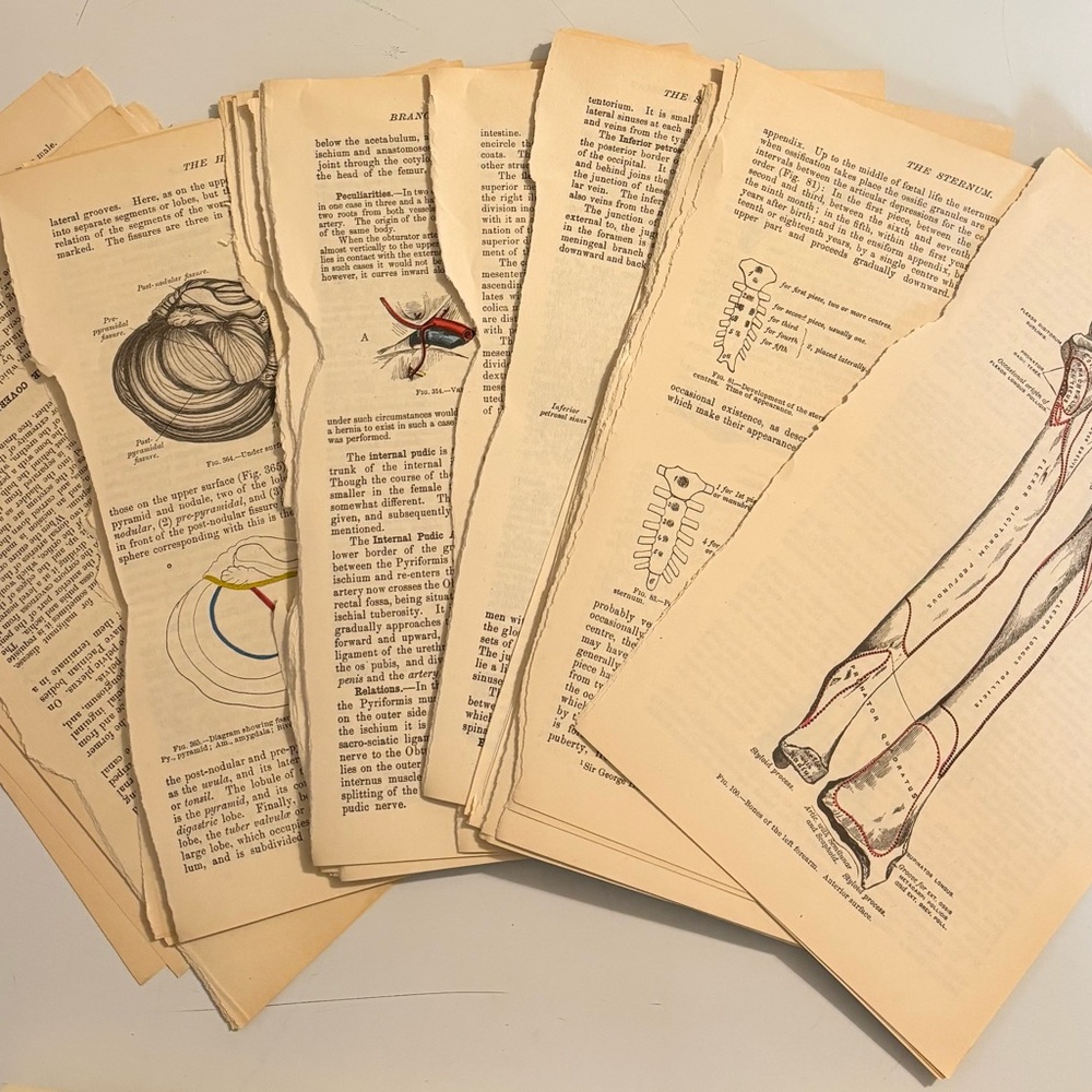 Book Page Ephemera - Picture 6 of 10